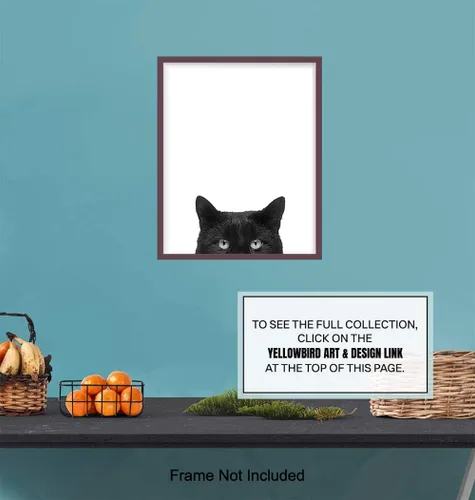 Miniatura 6 de Foto artística de pared de gato negro, impresión única de 8 x 10 pulgadas, moderna, contemporánea, 8 x 10 pulgadas, regalo para animales, mascotas