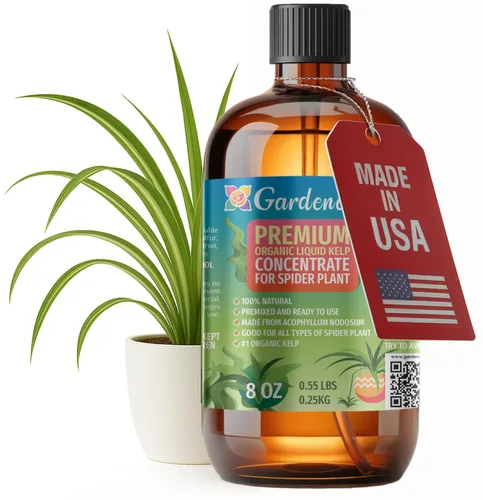 Miniatura 63 de GARDENERA Superalimento orgánico prémium de algas marinas y algas marinas para plantas AGLAONEMA, 8 onzas, concentrado de fertilizante líquido