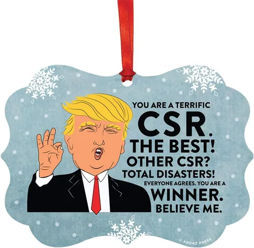 Miniatura 139 de Andaz Press Presidente Donald Trump Fancy Frame Recuerdo Adorno de Navidad Regalo de broma Ejecutivo de Cuenta, 1 paquete, Divertidas Ideas