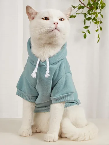 Miniatura 2 de QWINEE Sudadera básica con capucha para perro, suéter cálido para gatos, ropa para mascotas para Chihuahua, cachorro, gatito, perros pequeños y Gris