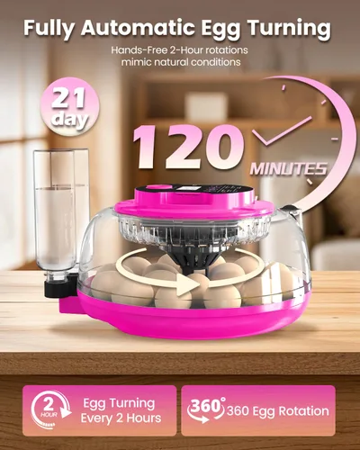 Miniatura 2 de Incubadora para incubar huevos, capacidad de 18 huevos, incubadoras con ovoscopio, girador automático de huevos, control de temperatura y humedad