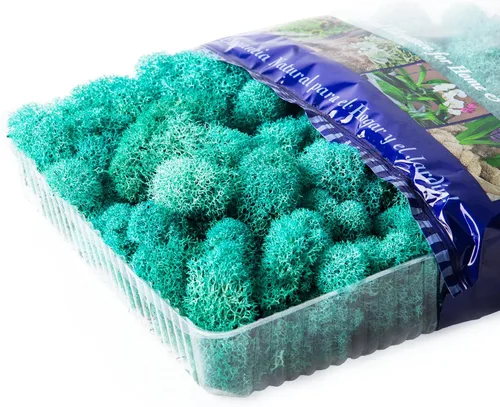 Miniatura 3 de SuperMoss (25160) Musgo de reno, musgo preservado suave para decoración del hogar, manualidades, terrarios, diseño floral y decoraciones de boda