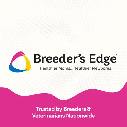 Miniatura 6 de Breeder's Edge Breed to Wean, Multivitamínico prenatal y posnatal para perros y gatos, apoya a las madres embarazadas y lactantes, suplemento