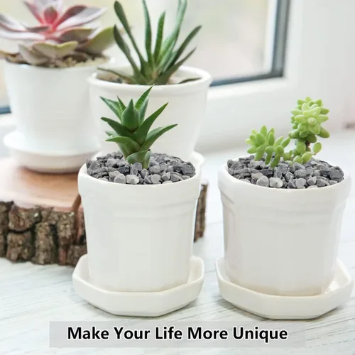 Miniatura 7 de YISZM Grava para suculentas y cactus de 10 libras, guijarros pulidos decorativos naturales de 1/5 pulgadas para paisajismo, rocas de río gris