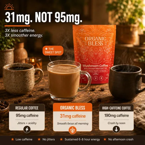 Miniatura 7 de Organic Bless Café instantáneo de hongos con melena de león, reishi y cordyceps – Leche de coco y aceite MCT para una energía suave y concentración