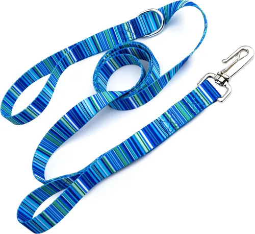Miniatura 24 de Country Brook Design® Correa para perro Native Arizona de 1 pulgada - 6 pies Arizona nativa