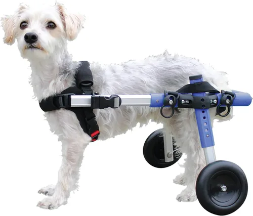 Walkin' Wheels Silla de ruedas para perros pequeños, silla de ruedas ligera para patas traseras, 15-25 libras, para altura de pierna de 12-15 Azul