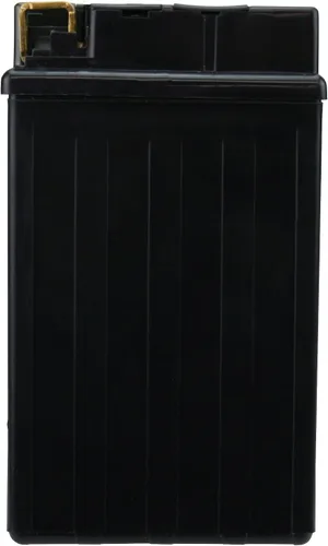 Miniatura 6 de PowerStar YTX14-BS, YTX14, KMX14-BS, FTX14-BS Batería de repuesto 200cca Alto rendimiento WP14-BS sellado AGM para Powersports