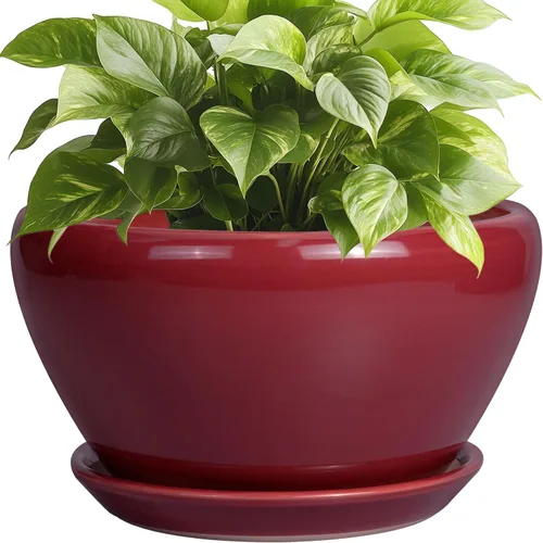 Miniatura 71 de Maceta de Cerámica Moderna con Esmalte para Suculentas con Agujero de Drenaje y Platillo, Maceta Redonda de 6 Pulgadas para Plantas de Flores
