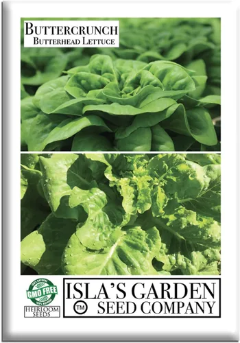 Buttercrunch - Semillas de lechuga Butterhead para plantar, 1000 semillas tradicionales por paquete, semillas de jardín de Isla (semillas de jardín