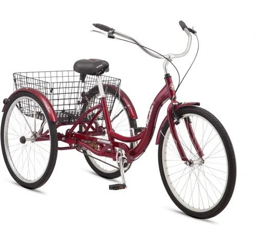 Miniatura 17 de Schwinn Meridian