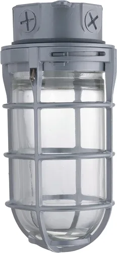 Lithonia Lighting VC150I M12 - Aplique de luz para montaje en techo hermético al vapor incandescente, color gris, VC150I M12, 150watts, 120 volts