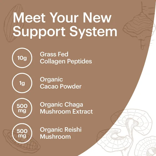 Miniatura 4 de Wellthy Superalimento en polvo de colágeno, combate el estrés y la fatiga, cacao, polvo de hongos, extractos orgánicos de chaga y reishi, matcha