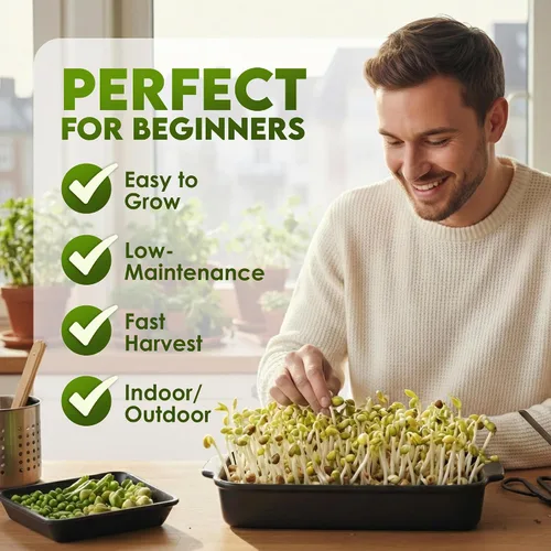 Miniatura 4 de Nature Jims Mung Bean Sprout Seeds – Semillas germinantes de 16 onzas – Semillas de frijol Mung Premium – Sin OMG – Bolsa resellable para una
