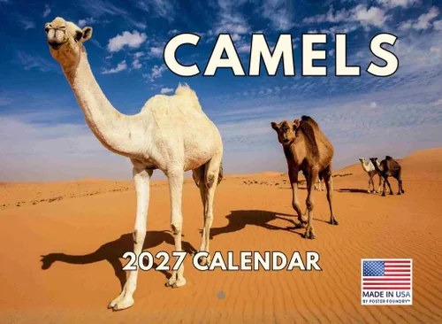 Miniatura 113 de Calendario alpaca 2026, calendario mensual de pared de 12 meses Hecho en Estados Unidos.