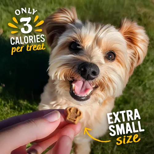 Miniatura 3 de Blue Dog Bakery Golosinas naturales para perros, entrenadores perfectos, golosinas bajas en calorías, sabor a pollo y queso, 6 onzas, 8