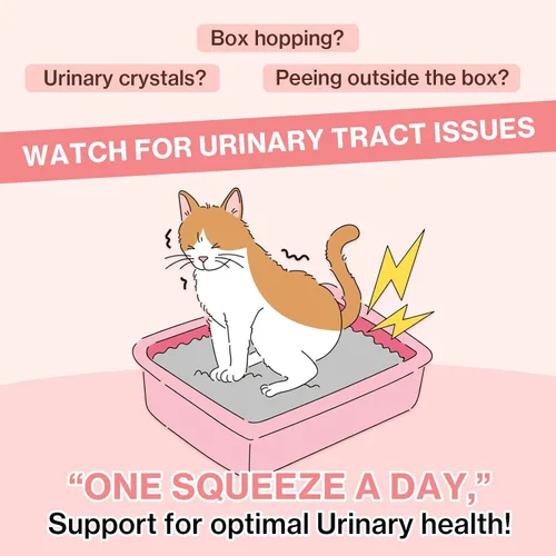 Miniatura 2 de Doctor By UT Care Cat - Suplemento urinario de apoyo renal para UTI de gatos, tratamiento con arándano para la salud renal de gatos con Pacran