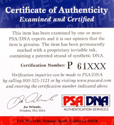 Iron Sheik & Nikolai Volkoff Firmado WWE Tag Team Toy Title Belt PSA/DNA COA Auto - Lucha Libre Autógrafo Artículos Misceláneos