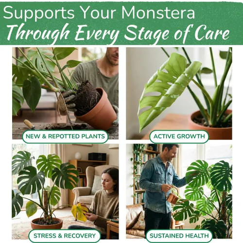 Miniatura 3 de Monstera Plant Food - Fertilizante líquido rico en nutrientes de primera calidad (5-2-3 NPK) para Monstera Deliciosa y otras plantas tropicales