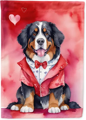 Miniatura 34 de Caroline's Treasures DAC5292CHF - Bandera de Border Collie My Valentine House para porche, grande, con manga para porche, para colgar en la pared