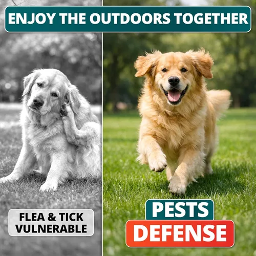 Miniatura 4 de Prevención de pulgas y garrapatas para perros masticables - Tratamiento natural de pulgas y garrapatas para perros - Píldoras de control oral