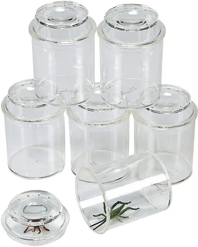 Fun Express Tarros transparentes para insectos, juego para ciencia educativa y exploración de la naturaleza, ideal para actividades de aprendizaje