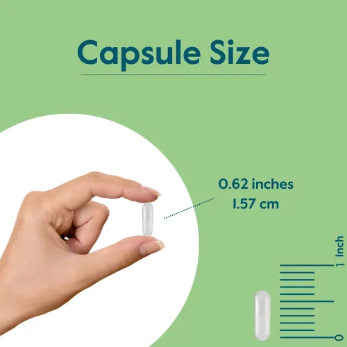Miniatura 4 de BESTVITE Quelato de zinc 50 mg (240 cápsulas vegetarianas) - Sin estearatos - Sin fosfato dicálcico - Vegano - Sin OMG - Sin gluten