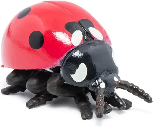 Miniatura 4 de Papo - Figura realista de mariquita - A partir de 3 años - Colección de animales de jardín - Mundo educativo de insectos - Juguete de idea de regalo