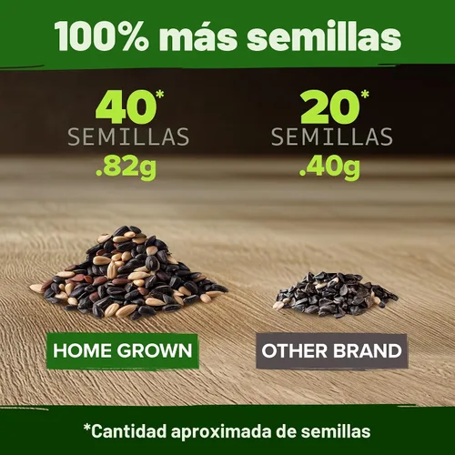 Miniatura 3 de HOME GROWN Autumn Beauty Semillas de girasol para plantar 40 semillas de girasol tradicionales sin OMG para plantar flores para apoyo