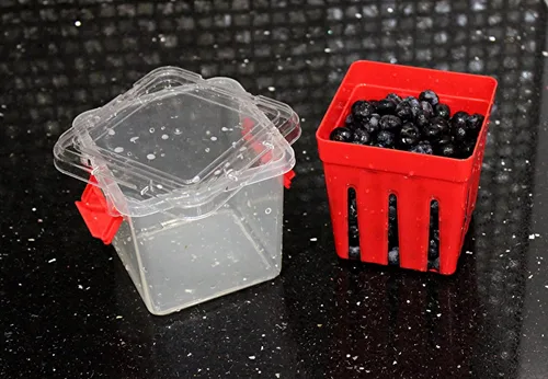 Miniatura 7 de Home & Style Recipiente de almacenamiento de productos con colador, enjuague, escurre y mantiene las frutas frescas, sin BPA, con tapa, ideal