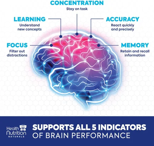 Miniatura 5 de Suplemento de memoria cerebral, nootrópicos de fuerza 3 veces para concentración, claridad y apoyo de enfoque, salud cerebral, vitaminas cognitivas