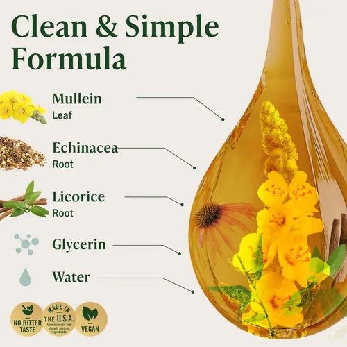 Miniatura 4 de HERBAMAMA Gotas de Gordolobo para los Pulmones - Limpieza Pulmonar Vegana con Extracto de Hoja de Gordolobo, Tintura de Equinácea y Regaliz