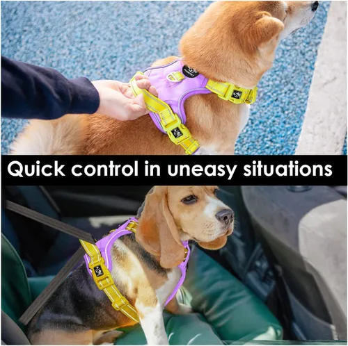 Miniatura 5 de PHOEPET Arnés para perro sin tirones, chaleco para perro reflectante ajustable de colores únicos, con mango de entrenamiento suave, clips de metal
