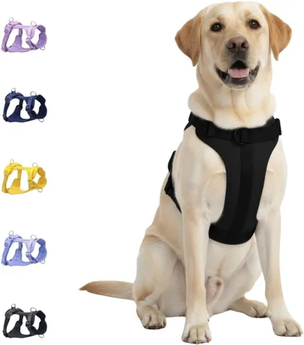 Miniatura 18 de Dog Harness - No Pull Adjustable Front Clip Vest with Soft Padding, 3Leash Clips, and No-Choke Oxford Design Comfort for Small, Medium, and Large