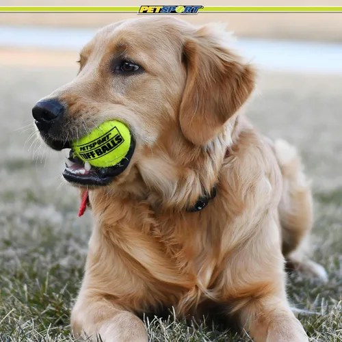 Miniatura 7 de PetSport Tuff Ball - Pelotas de tenis medianas para perros, ideales para aburrimiento y masticadores agresivos, juguete para perros, pelotas