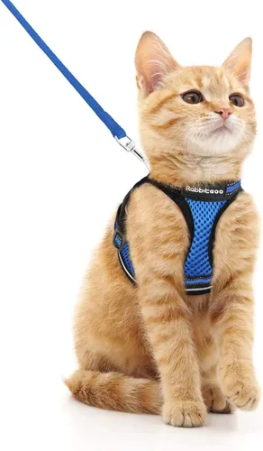 Miniatura 23 de rabbitgoo Juego de arnés y correa para gatos para caminar a prueba de escape, chaleco suave ajustable para gatitos con tira reflectante para gatos