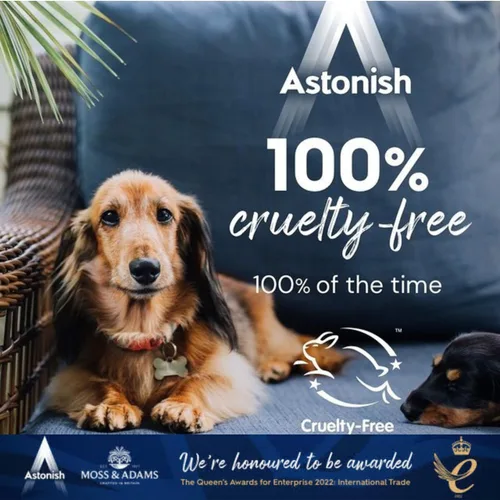 Miniatura 5 de Astonish Tabletas de lavavajillas todo en 1, limpiador doméstico que elimina la grasa, la suciedad y las manchas de la superficie, jabón