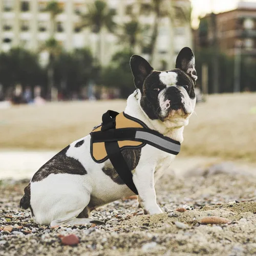 Miniatura 4 de Arnés para perro, reflejante y transpirable, ajustable, con asa, para sacarlo a pasear, no más tirones ni asfixia (amarillo militar, tamaño XS)