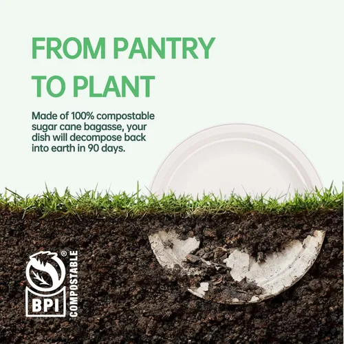Miniatura 7 de DaYammi Platos de papel 100 % compostables de 9 pulgadas, paquete de 60 platos de papel resistentes a granel, bagazo biodegradable, plato desechable