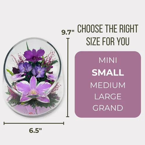 Miniatura 3 de Fiora Flower - Elegante arreglo de orquídeas en jarrón de vidrio Orquídeas reales preservadas que duran 5 años Ideal para decoración del hogar