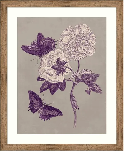 Miniatura 9 de Amanti Art Lienzo decorativo para pared, 24 x 20 pulgadas, estudio de la naturaleza en ciruela y gris pardo IV por Maria Merian, arte de pared
