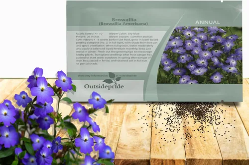 Outsidepride Browallia - Semillas de flores americanas, 5000 unidades, anuales, flores azul cielo, reliquia, sin OMG, contenedor y planta de jardín,