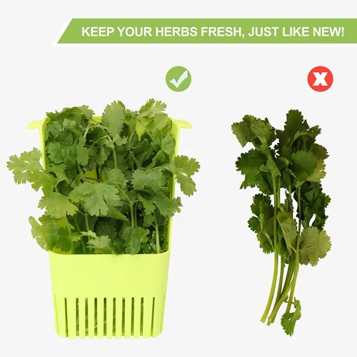 Miniatura 6 de LUVCOSY Herb Keeper, protector de hierbas de plástico sin BPA con una cesta interior para cilantro, menta, perejil y espárragos, mantiene