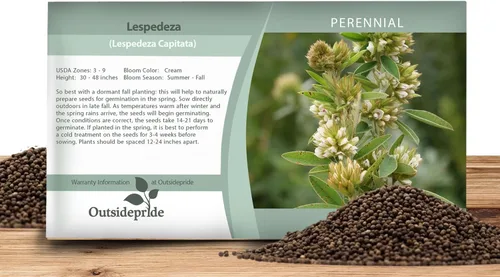 Outsidepride Semillas de trébol de arbusto de cabeza redonda, 1000 piezas de semillas perennes para plantar, fáciles de cultivar, tolerantes a la