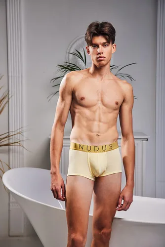 Miniatura 5 de NUDUS Ropa interior de bambú de 2 bolsas para hombre, paquete de 4 calzoncillos tipo caja de regalo, calzoncillos tipo bóxer