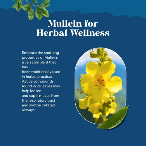 Miniatura 3 de Gotas de gordolobo orgánicas USDA para los pulmones - Desintoxicación y limpieza pulmonar herbal con extracto de raíz de malvavisco y hoja