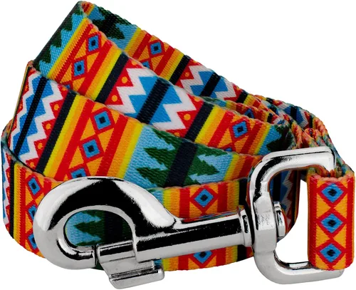 Miniatura 18 de Country Brook Design® Correa para perro Native Arizona de 1 pulgada - 6 pies Arizona nativa