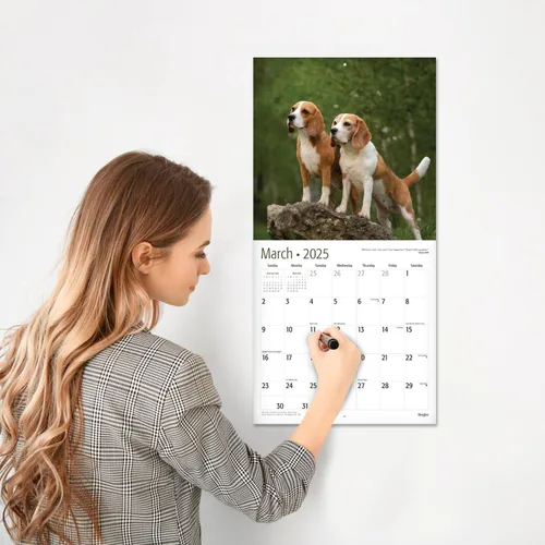Miniatura 4 de RED EMBER Beagles - Calendario de pared 2025 de 12 meses, 12 x 24 pulgadas, abierto, papel grueso y resistente, para regalo, calendario 2025