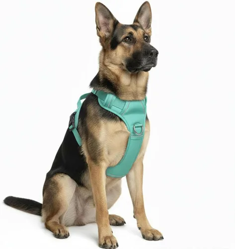 Miniatura 11 de Arnés sin tirones para perro, con 2 clips para correa, chaleco Oxford reflectante ajustable para mascotas con asa de fácil control para perros Negro