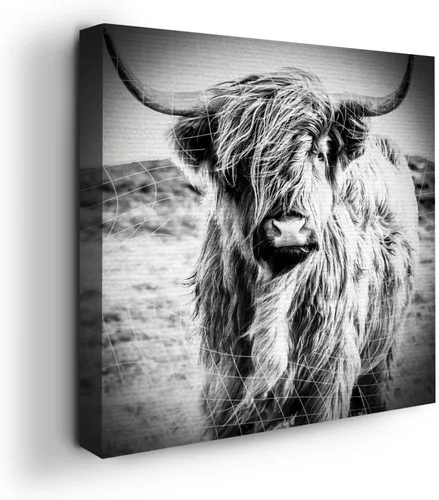 Miniatura 57 de Mavis Print - Lienzo decorativo para pared con diseño de conejo/conejo, 36 x 36 pulgadas, decoración de pared de animales impresos en HD y marco
